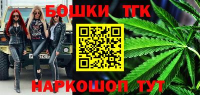 гидра Заводоуковск