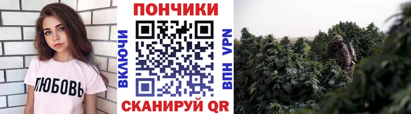 blacksprut зеркало  Лыткарино  Бошки марихуана гибрид 